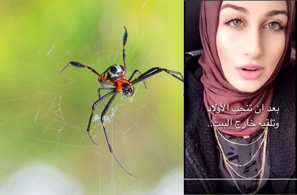 (Video) Gadis Cantik Ini Terangkan Kemukjizatan Al-Quran Tentang Laba-laba