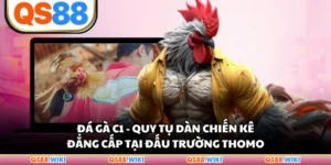 Đá Gà C1 - Quy Tụ Dàn Chiến Kê Đẳng Cấp Tại Đấu Trường Thomo
