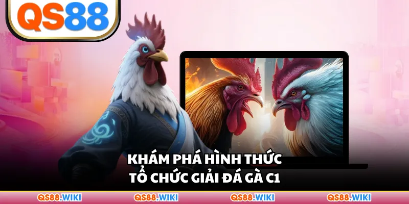 Khám phá hình thức tổ chức giải đá gà C1