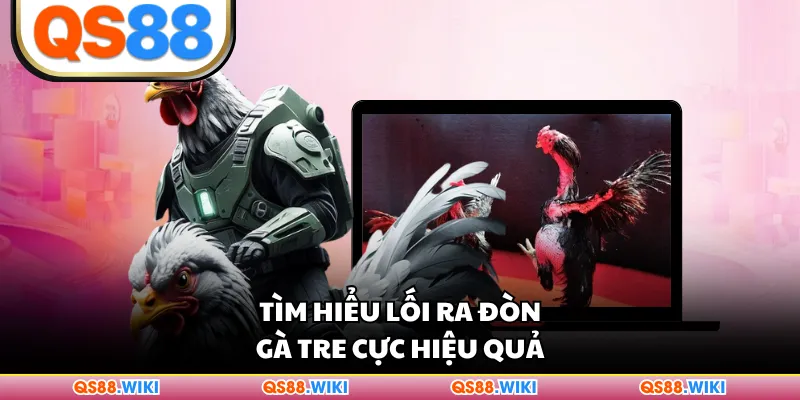 Tìm hiểu lối ra đòn gà tre cực hiệu quả