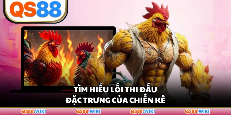 Tìm hiểu lối thi đấu đặc trưng của chiến kê